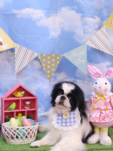 20240313小太郎くん